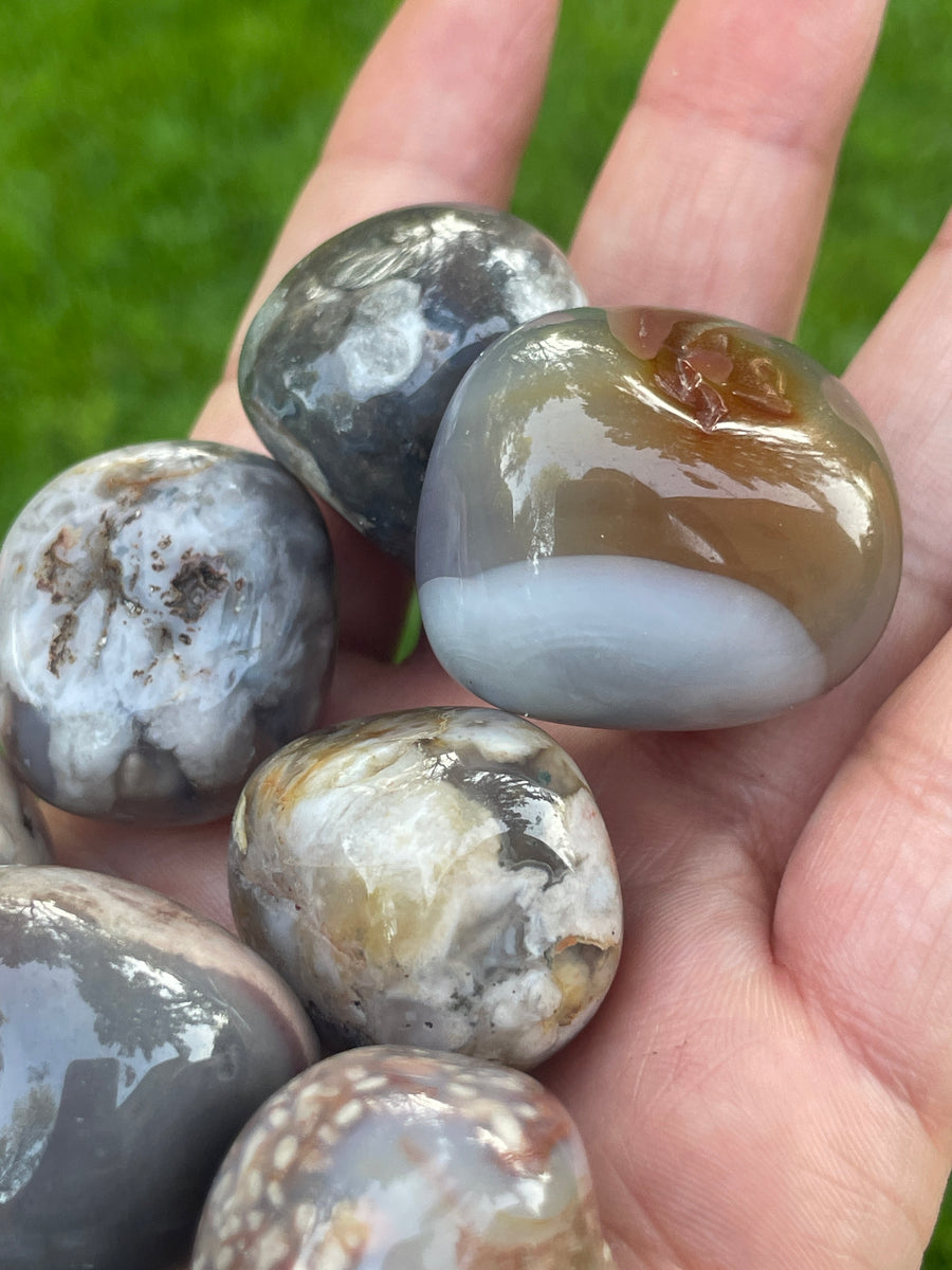 Black Flower Agate tumble