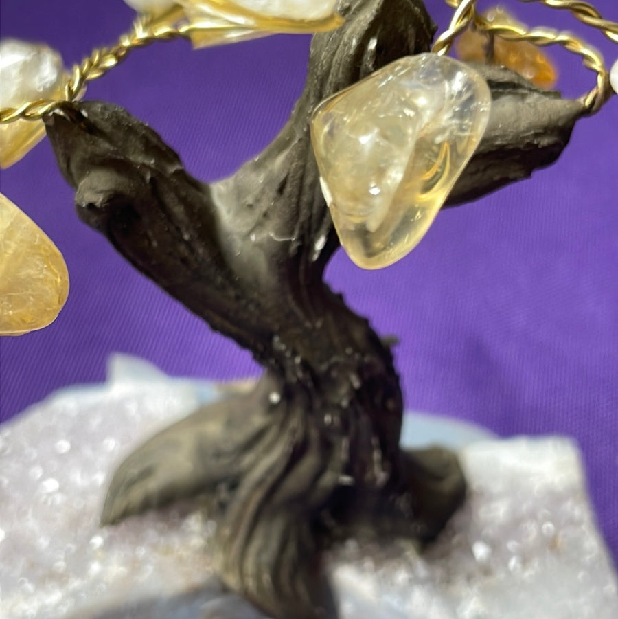 Citrine crystal tree on Amethyst druzy base