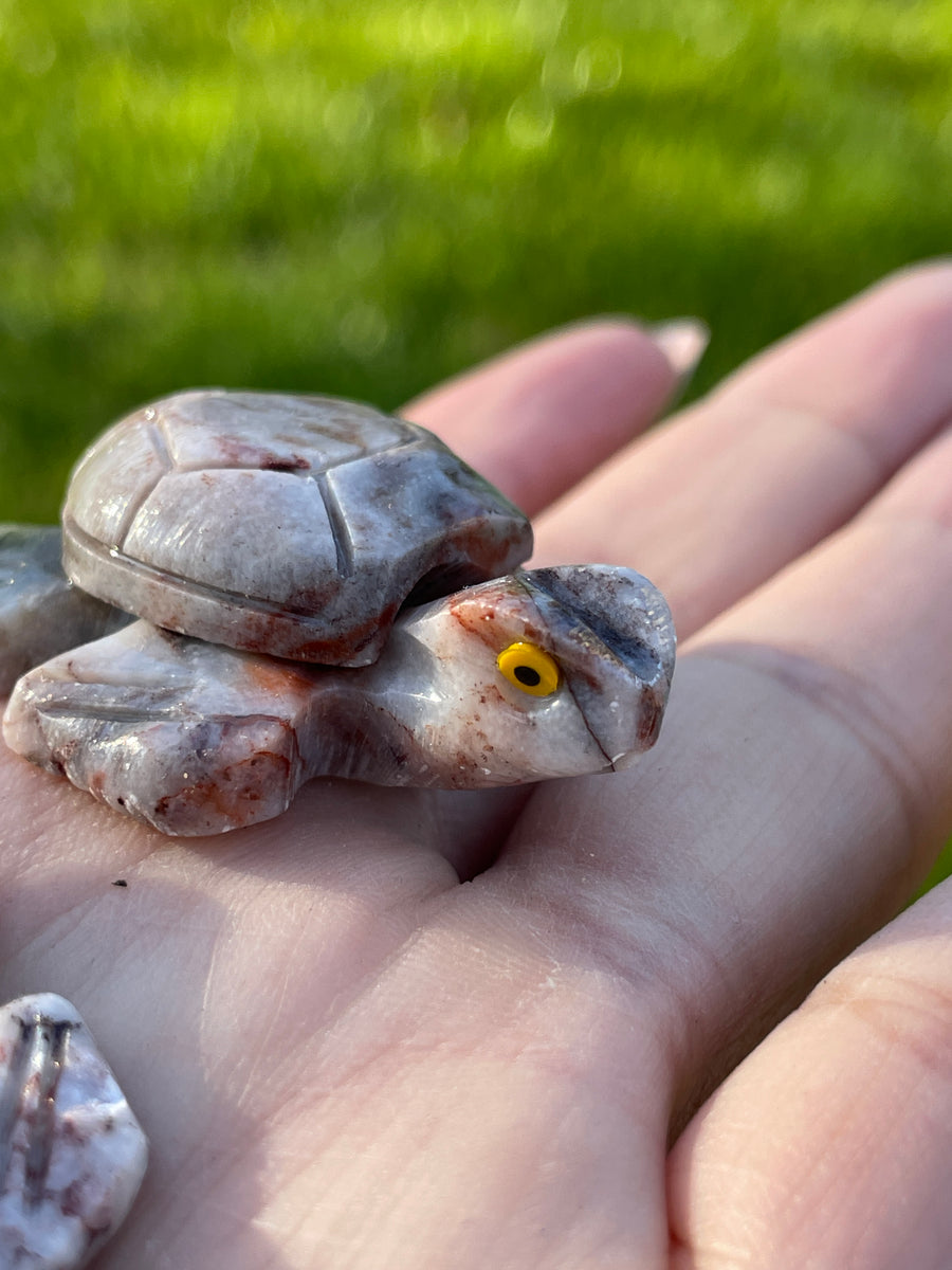 Turtle carving soap stone