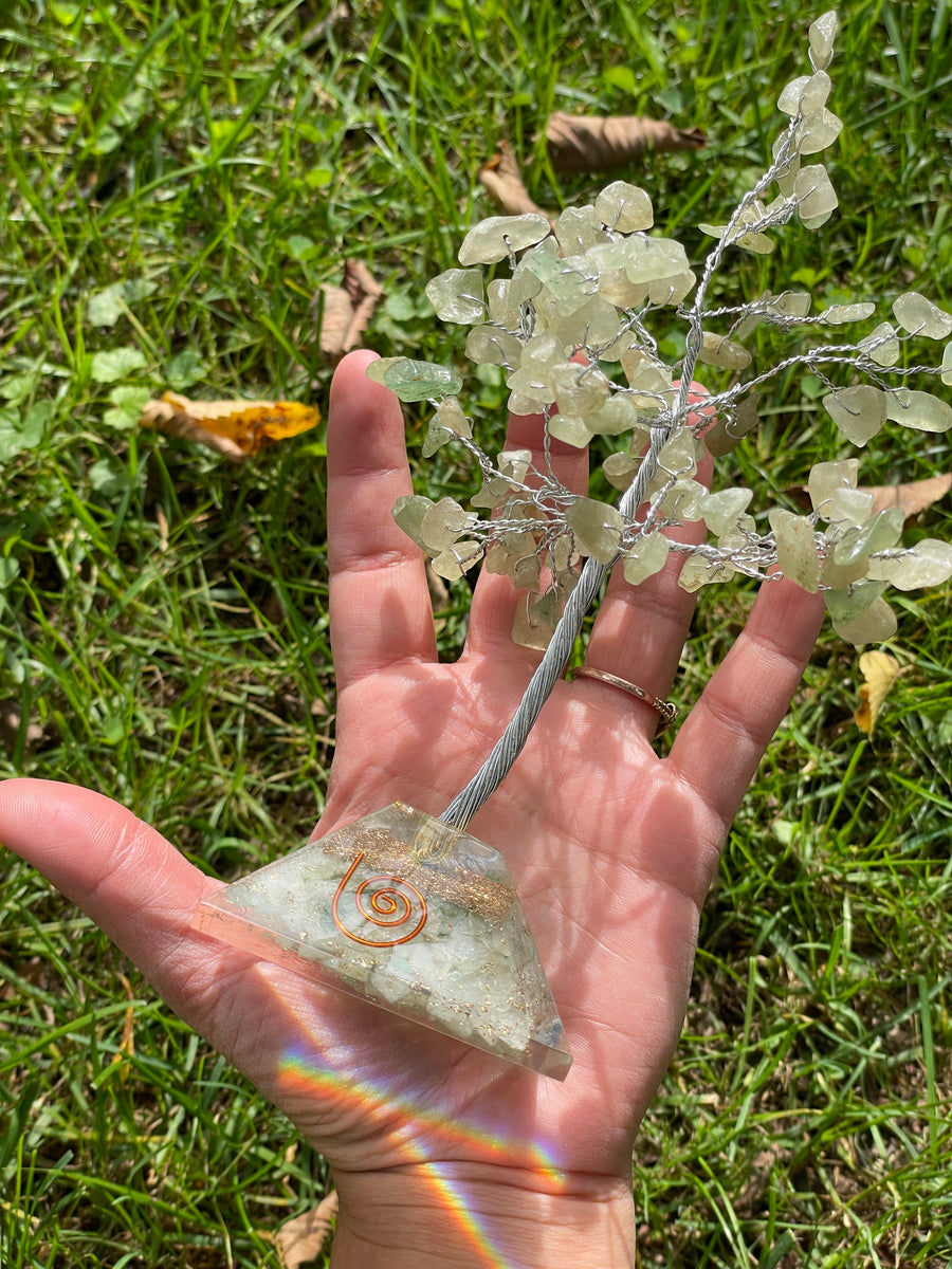 Crystal Trees with Orgone Pyramid Base 7 Inches(100 chips)