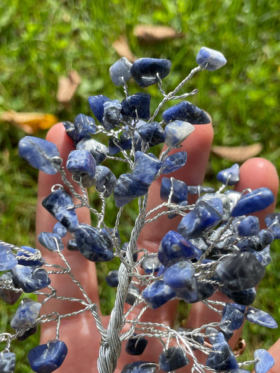 Crystal Trees with Orgone Pyramid Base 7 Inches(100 chips)