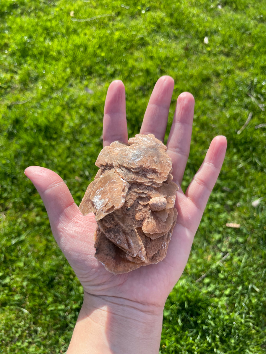 Selenite Desert rose largest in the shop