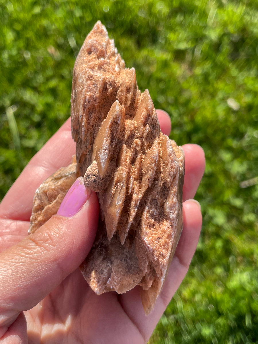 Selenite Desert rose largest in the shop