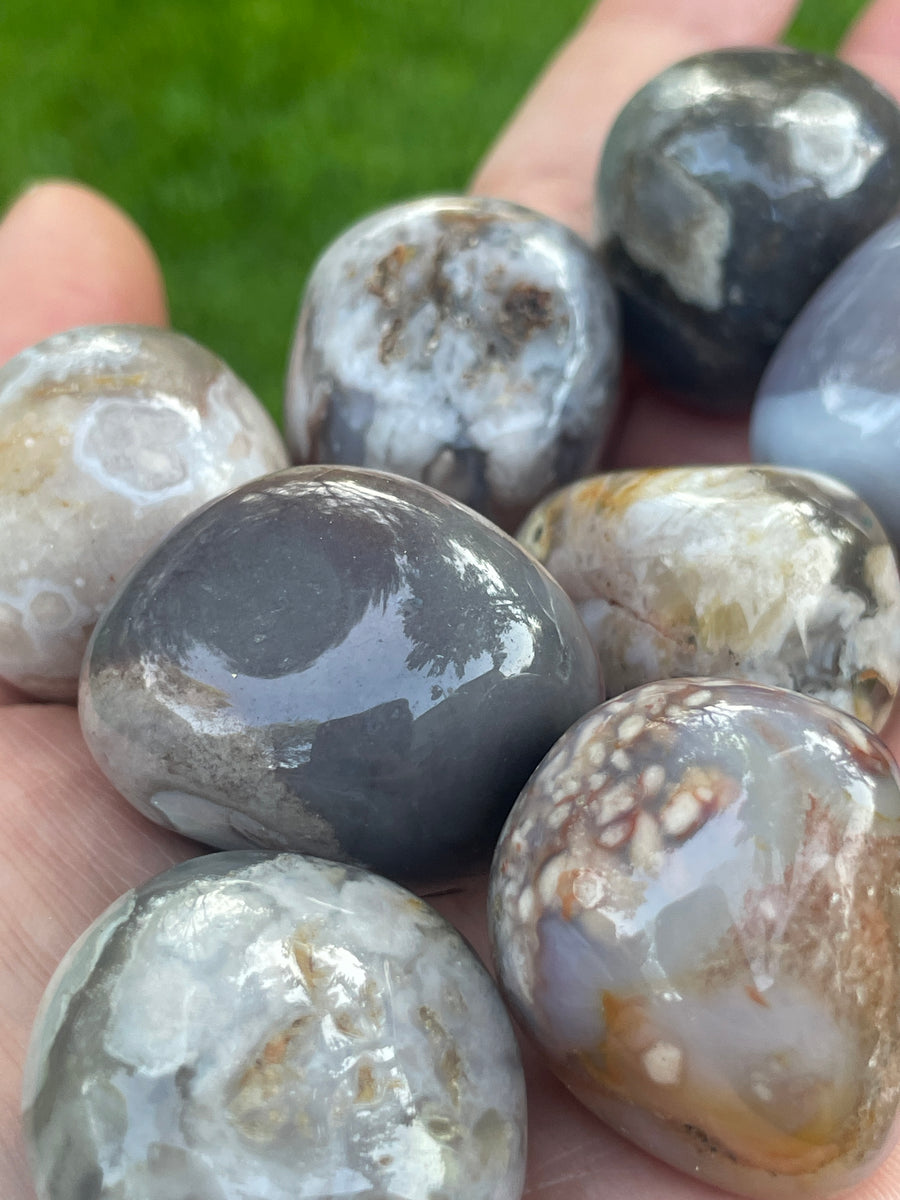 Black Flower Agate tumble