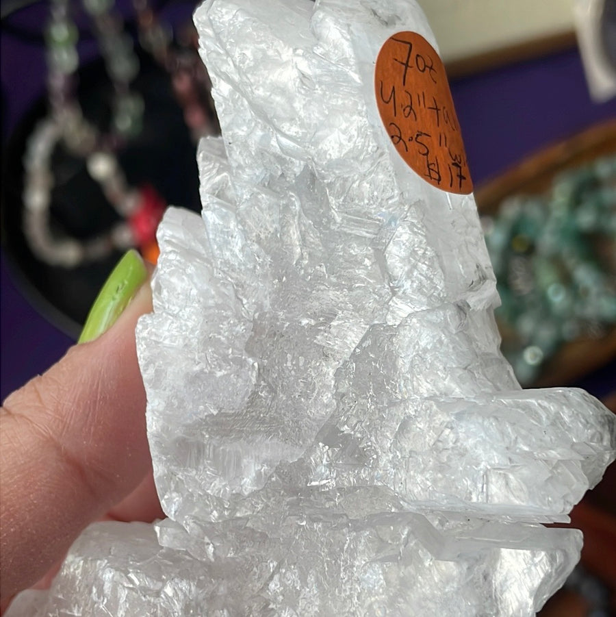 Rare Fishtail Selenite Specimen