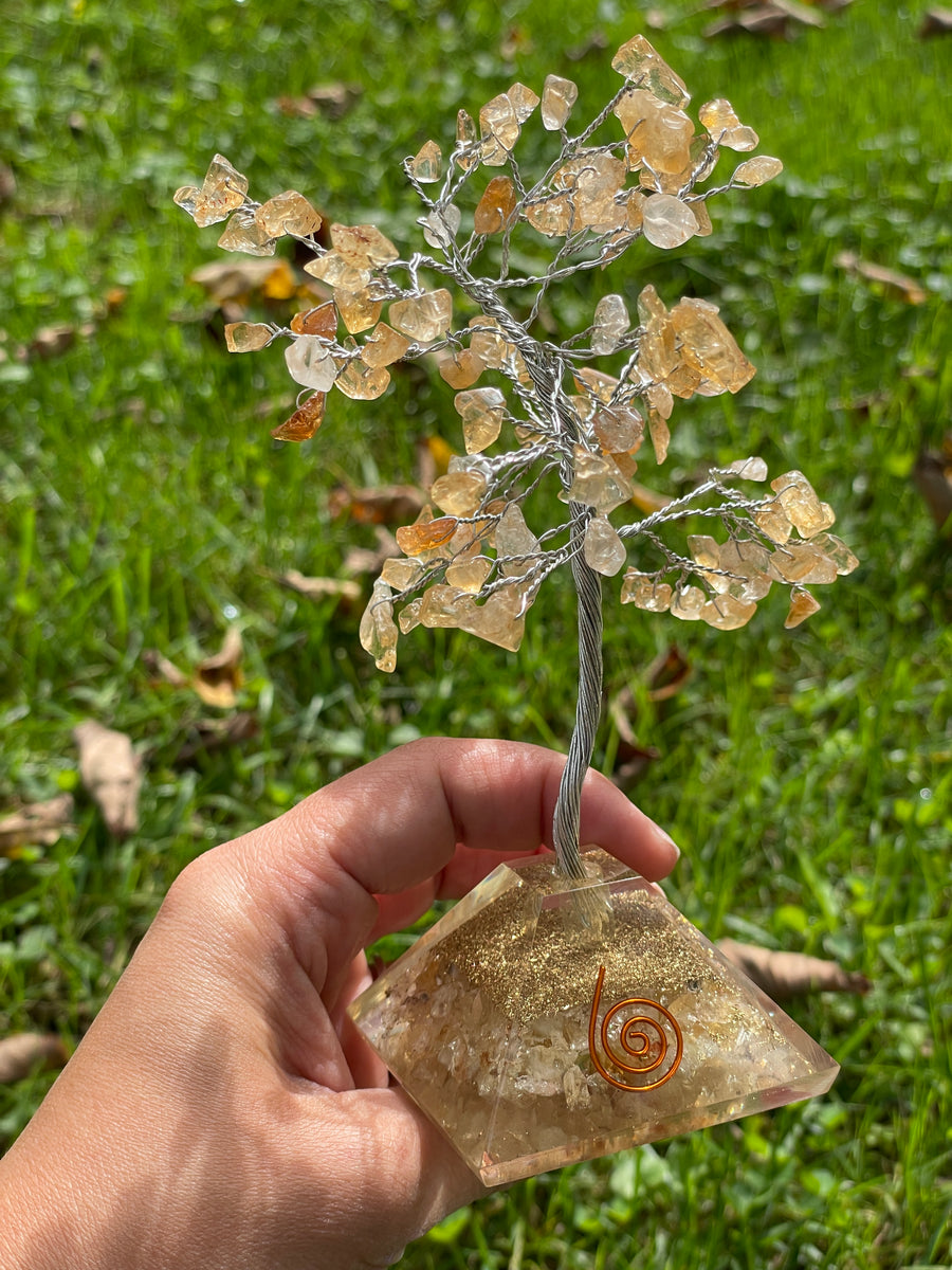 Crystal Trees with Orgone Pyramid Base 7 Inches(100 chips)