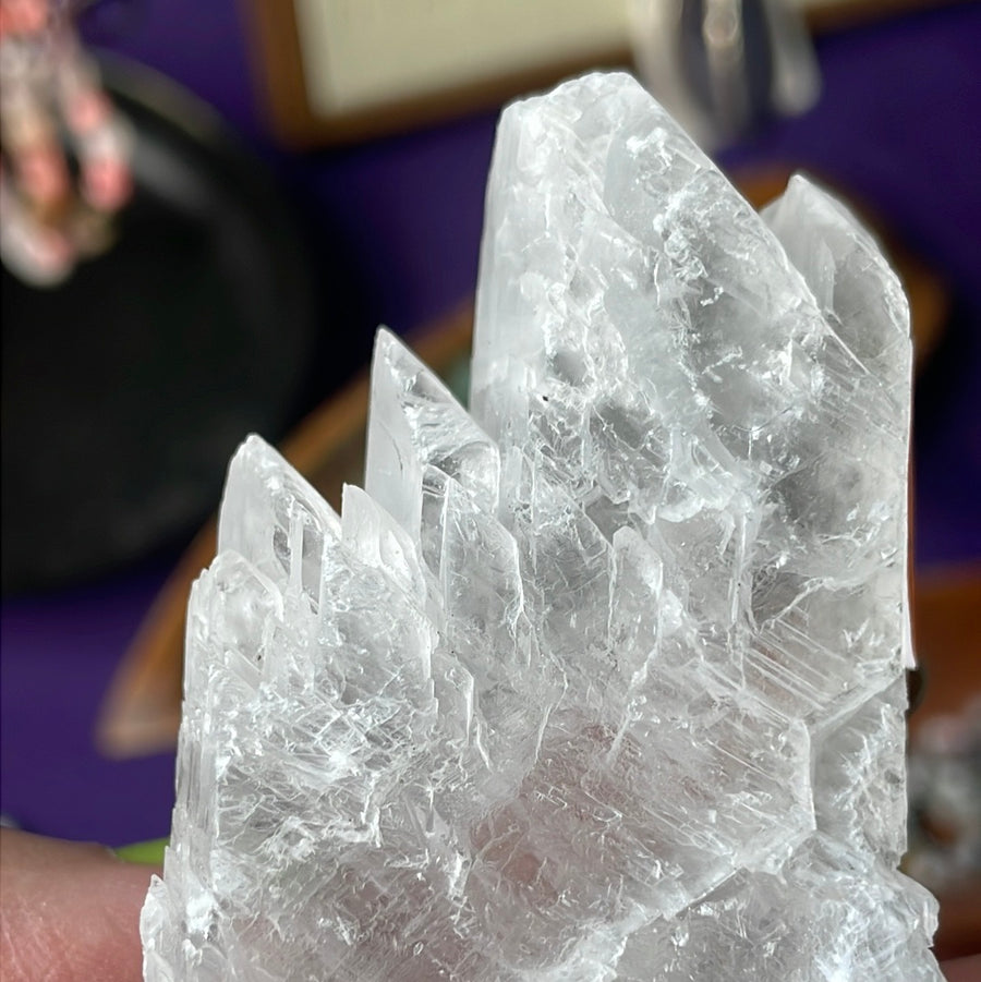 Rare Fishtail Selenite Specimen