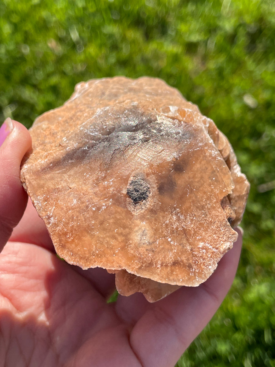 Selenite Desert rose largest in the shop