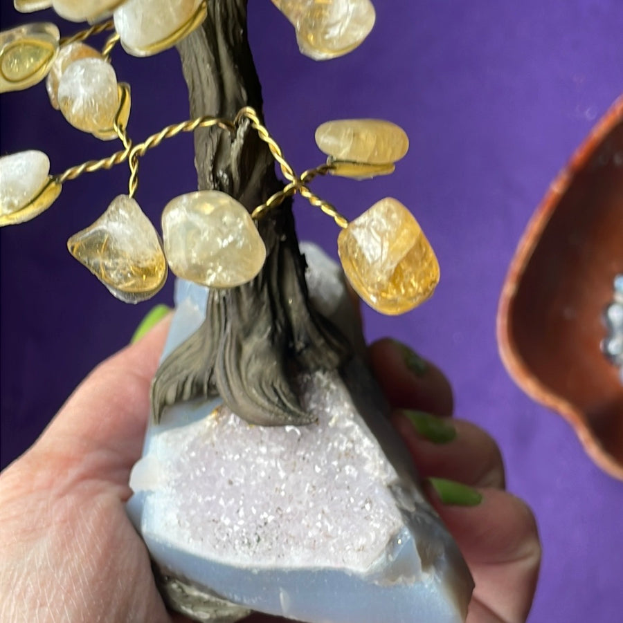 Citrine crystal tree on Amethyst druzy base