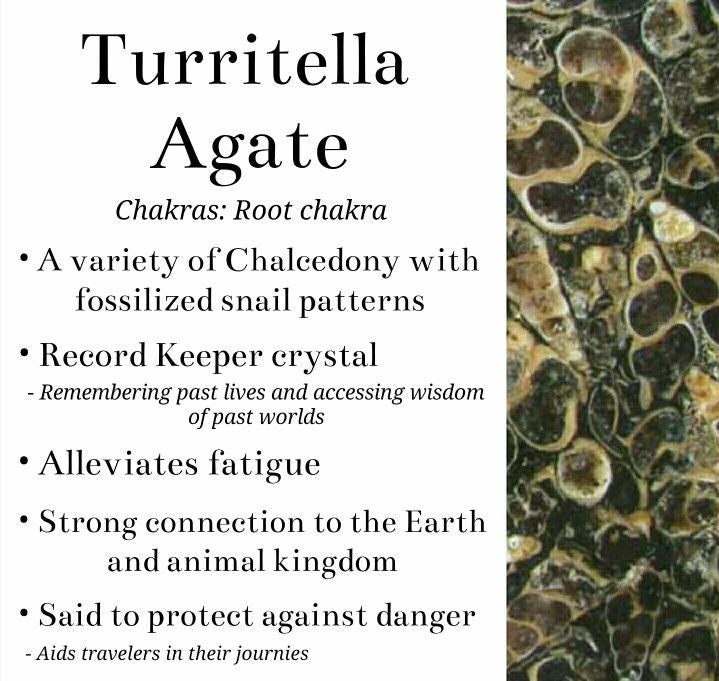 Turritella Agate tumble