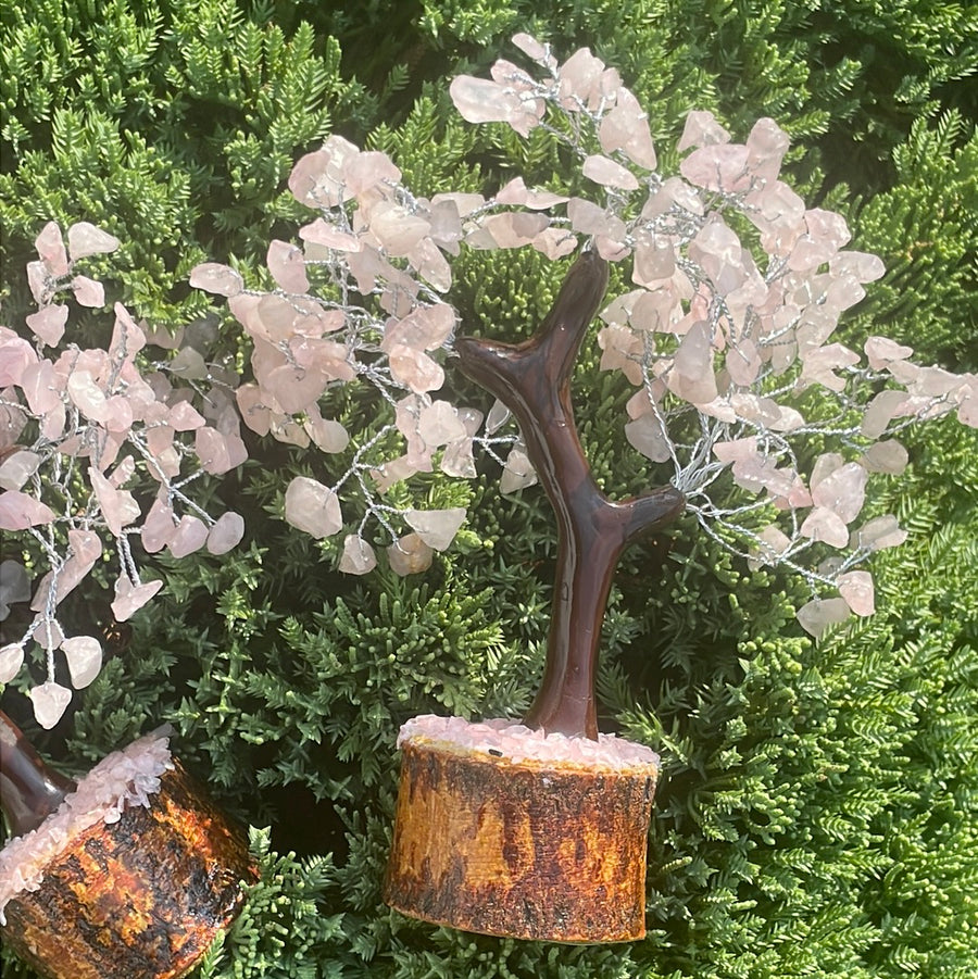 Rose Quartz Crystal stone Tree on wood Base.