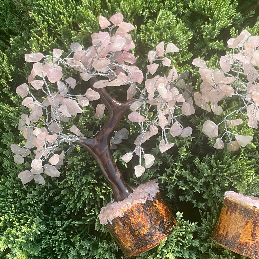 Rose Quartz Crystal stone Tree on wood Base.