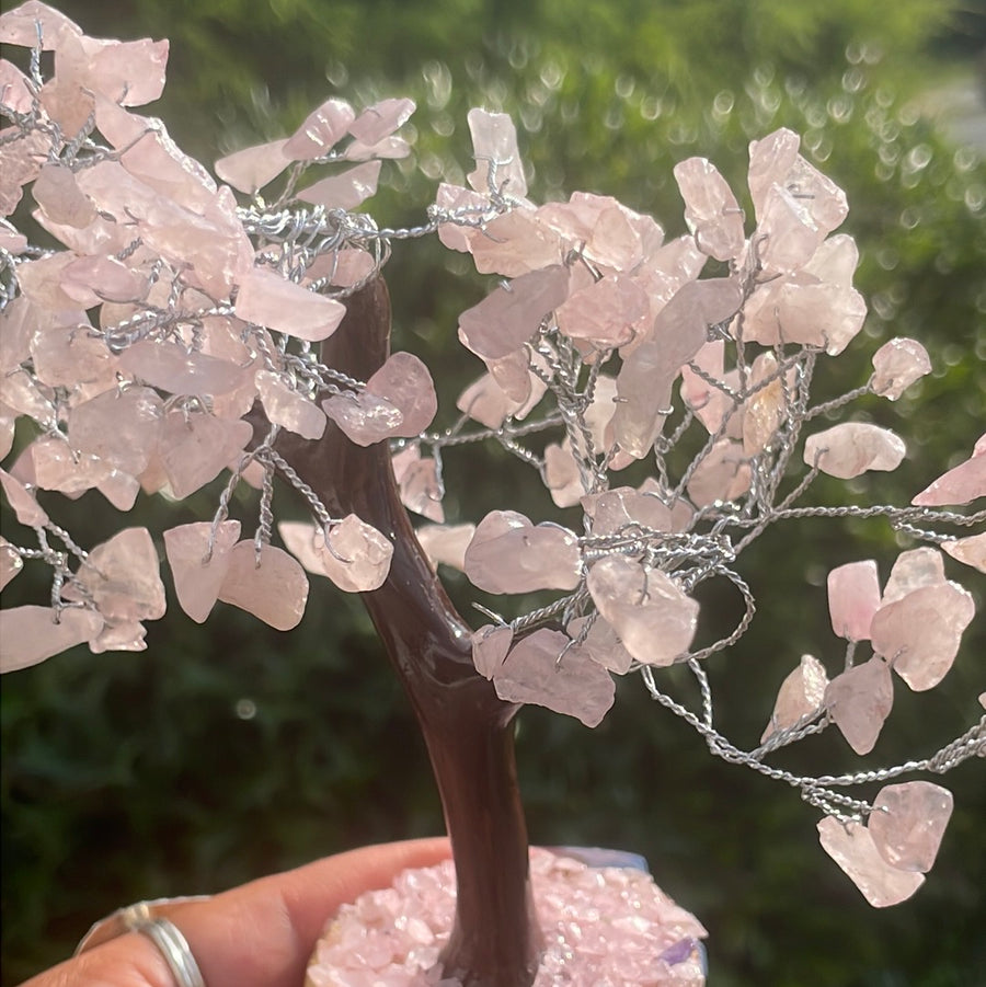 Rose Quartz Crystal stone Tree on wood Base.