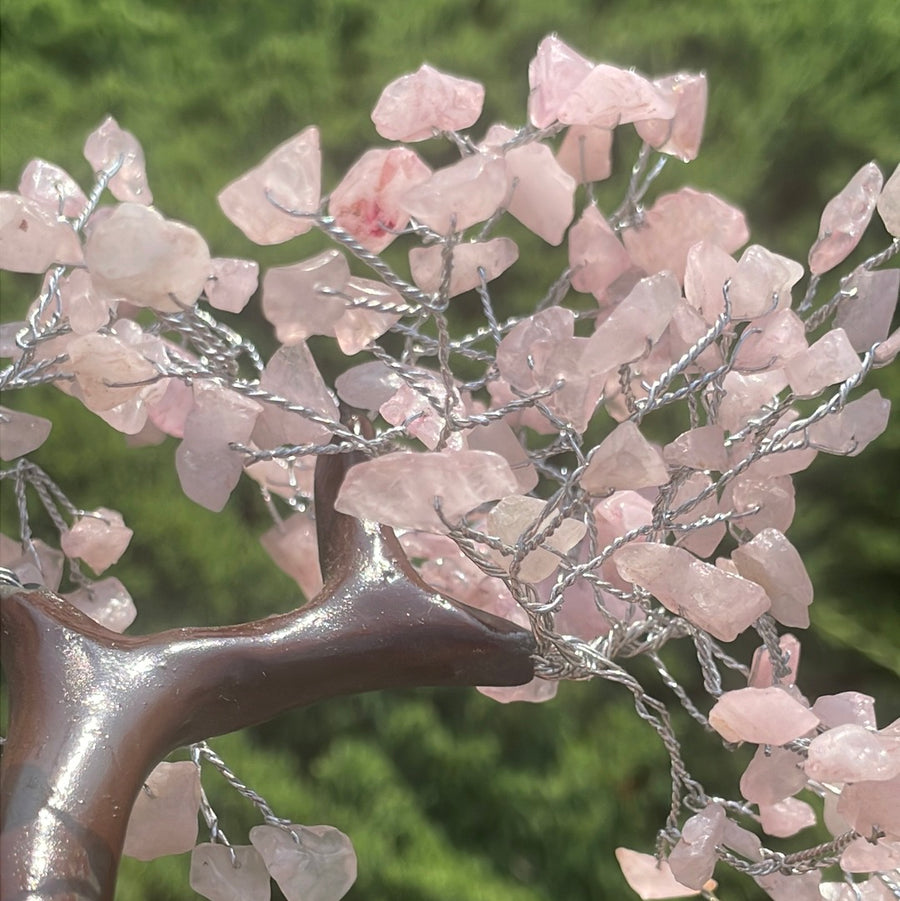 Rose Quartz Crystal stone Tree on wood Base.