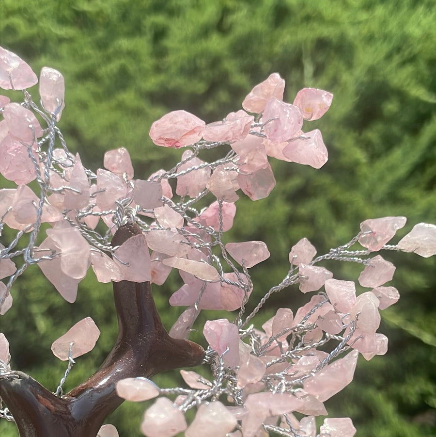 Rose Quartz Crystal stone Tree on wood Base.