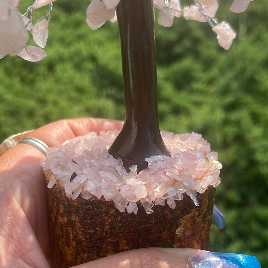 Rose Quartz Crystal stone Tree on wood Base.