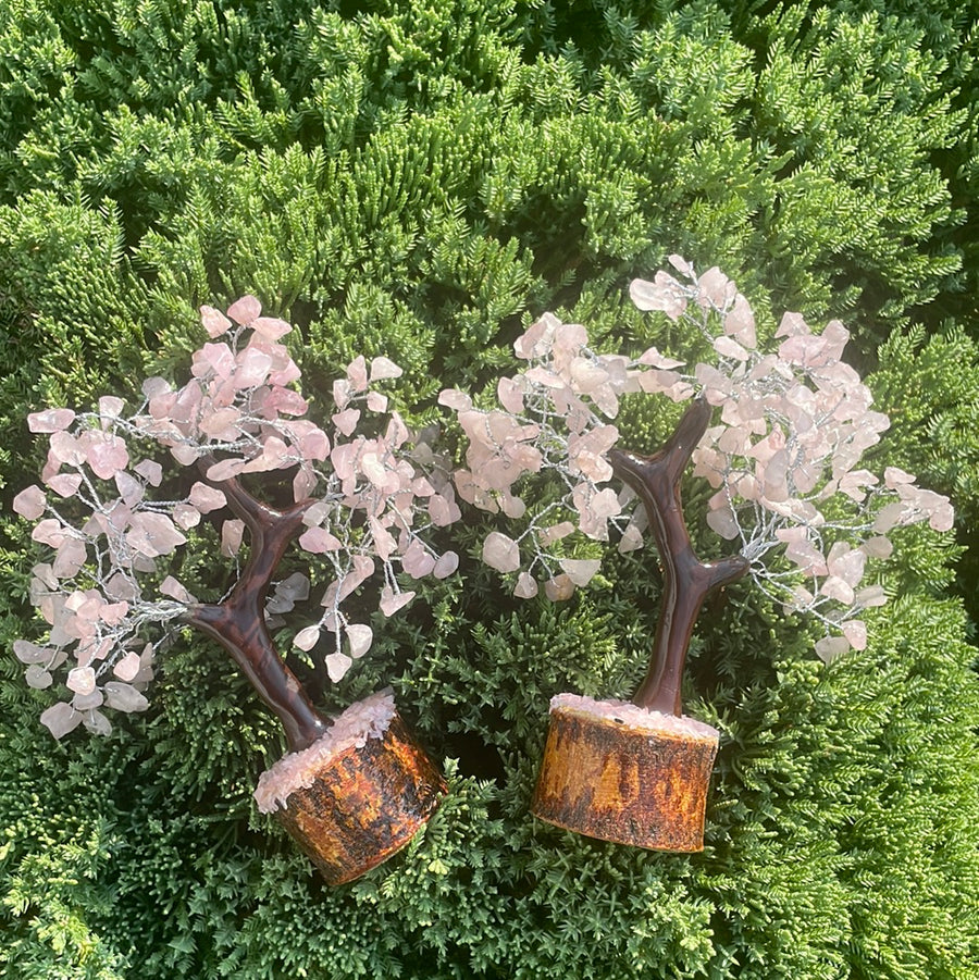 Rose Quartz Crystal stone Tree on wood Base.