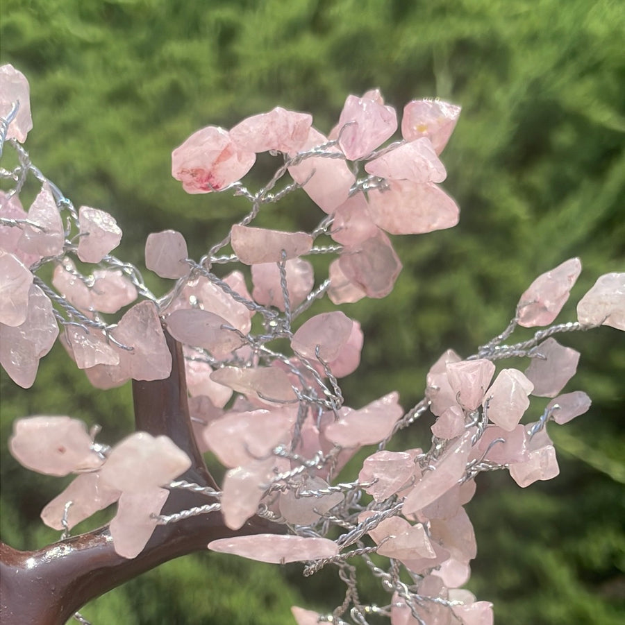 Rose Quartz Crystal stone Tree on wood Base.