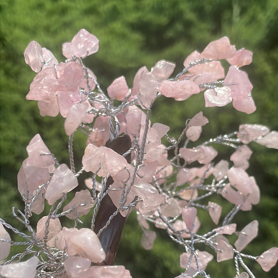 Rose Quartz Crystal stone Tree on wood Base.