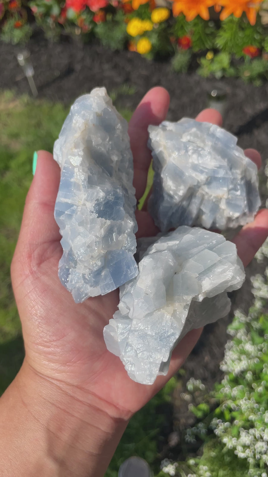 Blue calcite palm size chunks