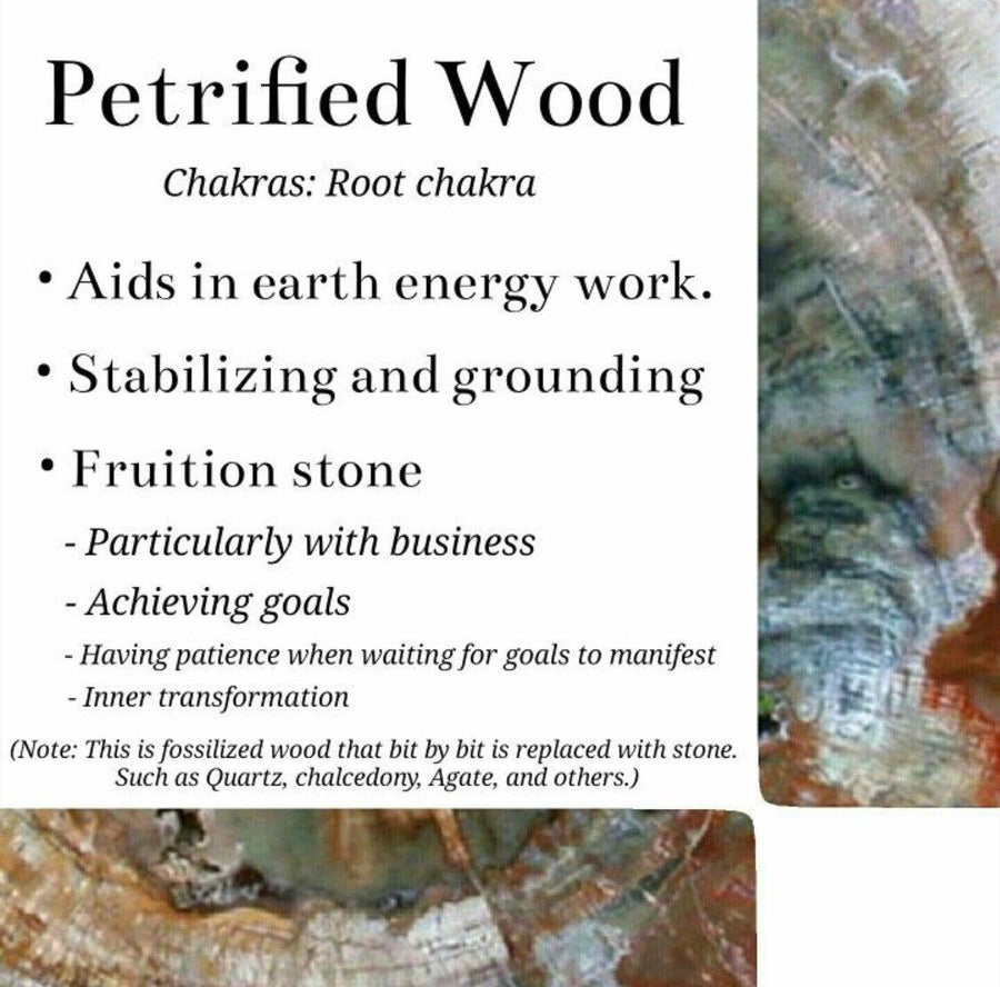 Petrified wood pocket heart